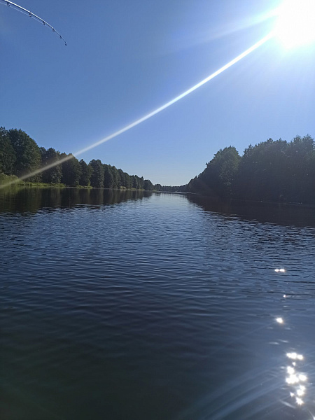 Участок , 25 сот.