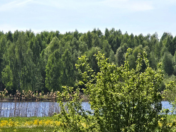 Объект  	