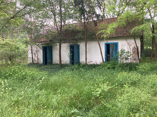 Объект Брестская область, Брестский район, Домачево 	