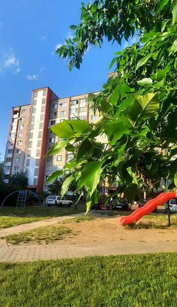 Объект  	