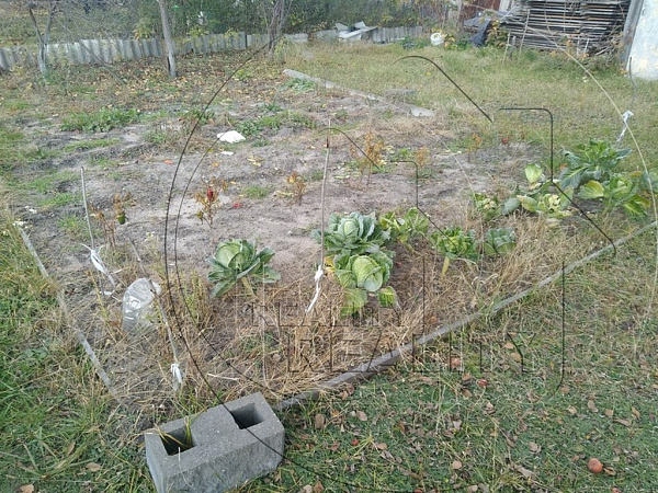 Участок , 5 сот.