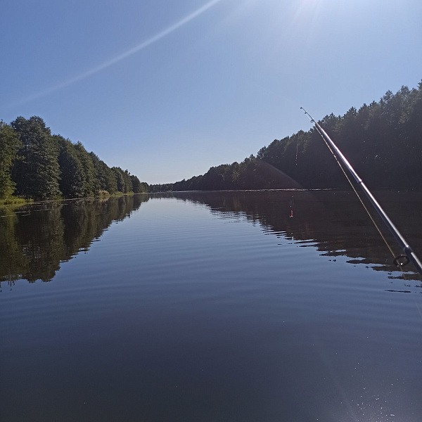 Участок , 25 сот.