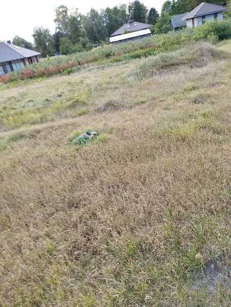 Участок , 25 сот.