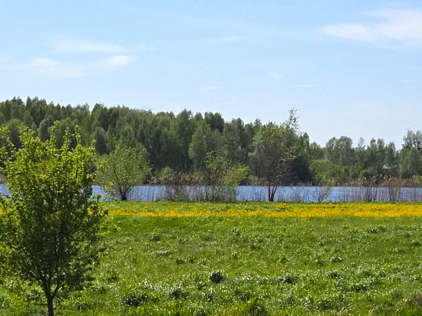 Объект  	
