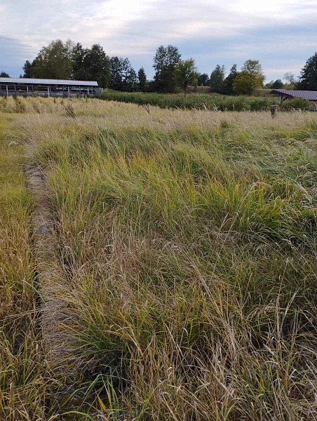 Участок , 25 сот.